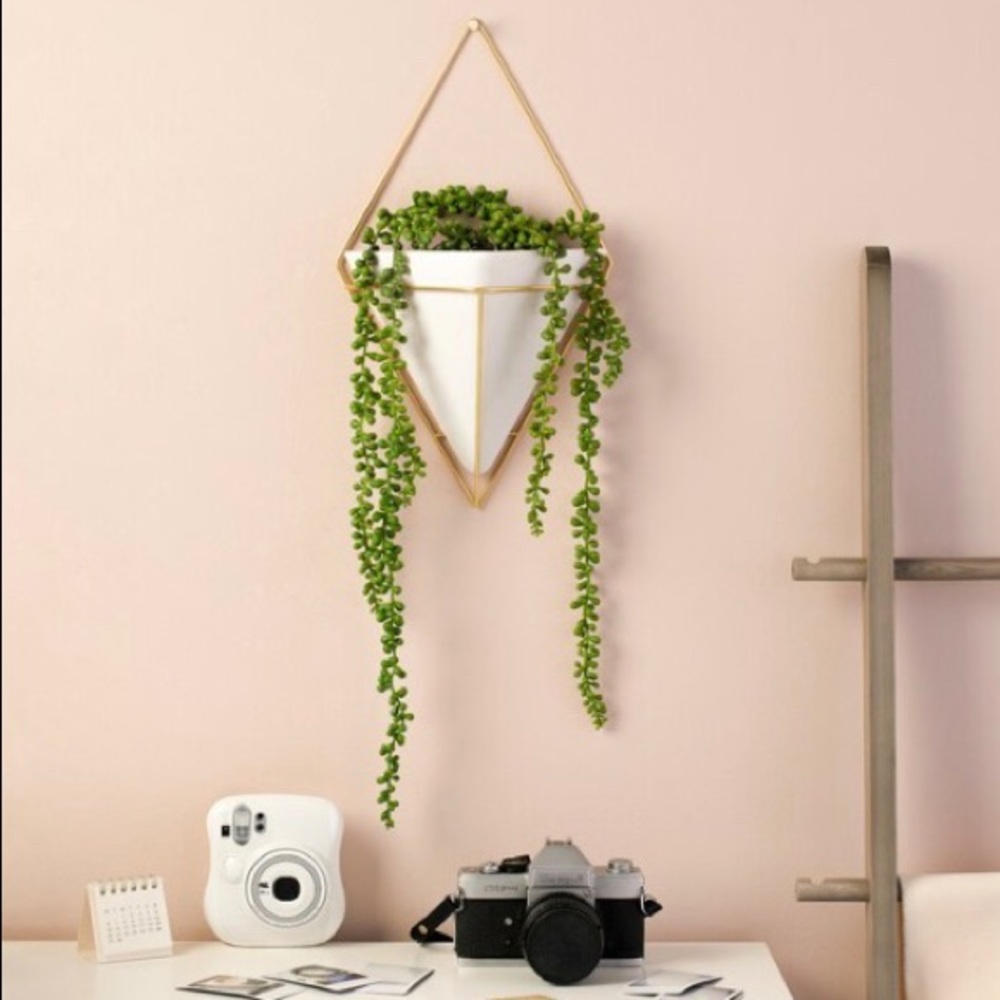 Trigg Ceramic Planter Wall Decor